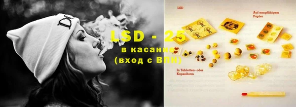 ГАЛЛЮЦИНОГЕННЫЕ ГРИБЫ Елизово