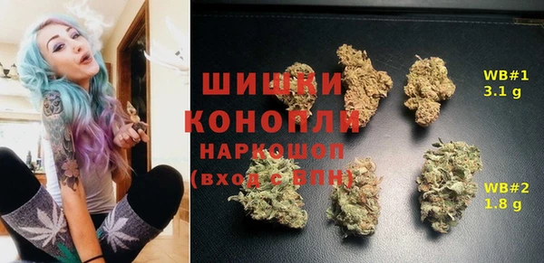 экстази Ельня