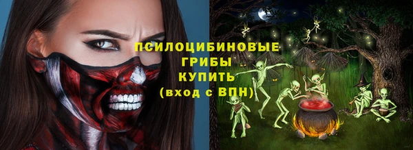 экстази Ельня