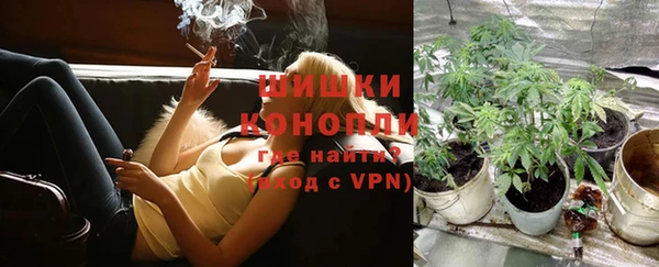 ГАЛЛЮЦИНОГЕННЫЕ ГРИБЫ Елизово