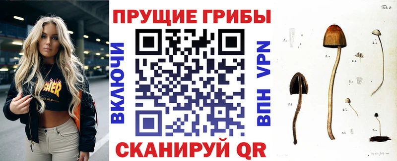 гидра зеркало  Камбарка  дарк нет как зайти  Галлюциногенные грибы прущие грибы 